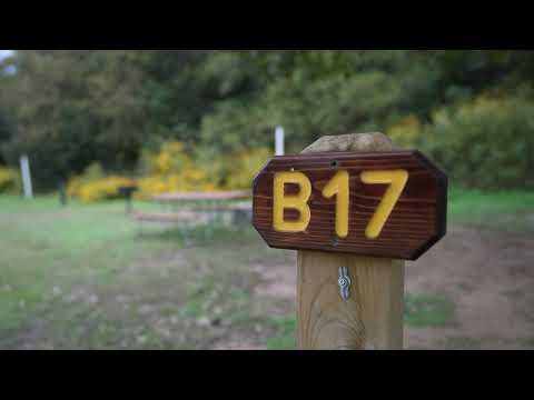 Video: Emma Long Park i Austin, Texas: The Complete Guide