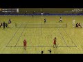 2019 ソフトテニス 日本リーグ 女子 第3対戦 2-1
