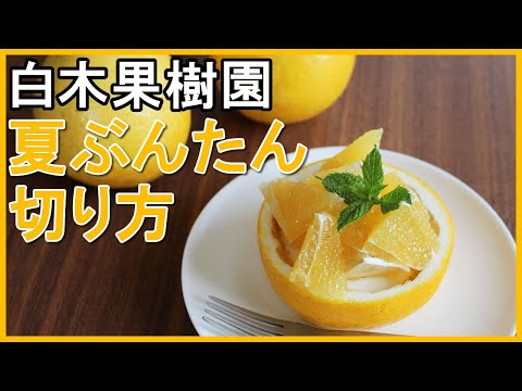 文旦屋・白木果樹園】夏ぶんたん（河内晩柑、宇和ゴールド、美生柑と