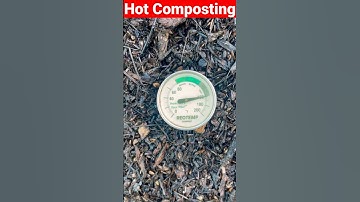 Hot Composting getting too Hot!!! #compost #gardening #Shorts #organic