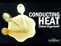 Heat Conduction Experiment With Spoons And Beads