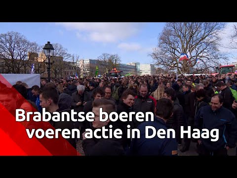 Brabantse boeren demonstreren in Den Haag
