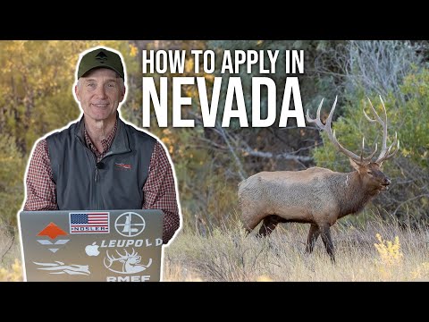 Unlocking Nevadas Big Game Hunts 