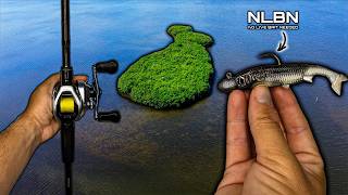 I Fished Secret Florida Islands For 48 Hrs.. (Unchartered)