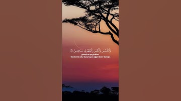 "الر تلك آيات الكتاب المبين إنا أنزلناه قرآنا عربيًا لعلكم تعقلون" ❤️ تلاوة خاشعة تُريح القلب