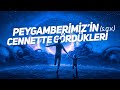 PEYGAMBERİMİZ'İN (s.a.v.) CENNETTE GÖRDÜKLERİ