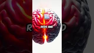 Turn Off Dopamine: Grayscale Your Phone, Beat Addiction!