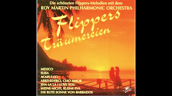 Roy Martin - Flippers Trumereien