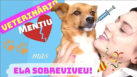 O que é bom para curar parvovirose?