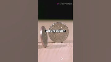 Quantum Physics in 60 Seconds! #Explained #Quantum #Physics