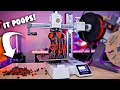 Creality K1 Max: High-Speed 3D Printer Review — Eightify