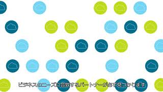 VMware Cloud Provider 概要