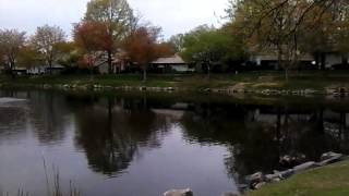 VID 20150425 123324