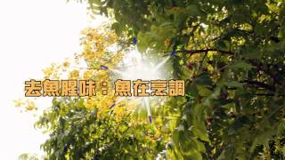 1031220醋在飲食上的妙用1