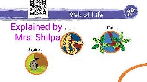 Web Of Life || Class 3 EVS NCERT || Explained by Mrs Shilpa.