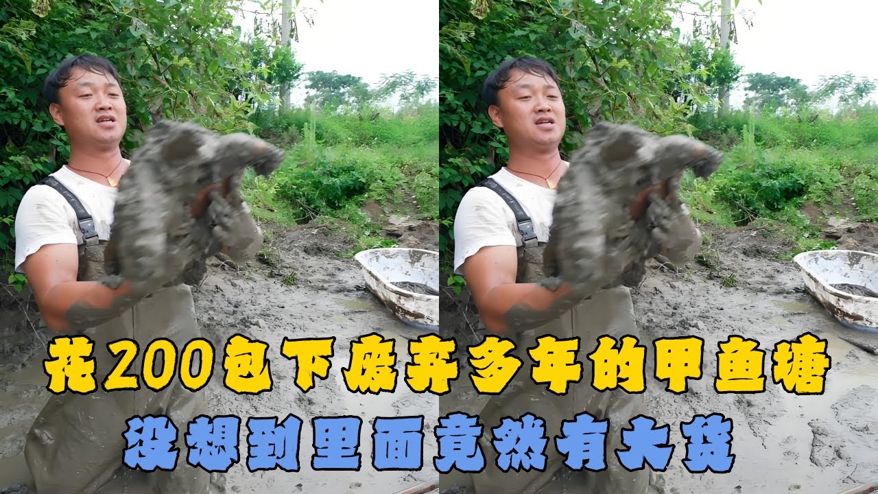 花200元包下废弃多年的甲鱼塘，没想到里面竟然有大货 #户外抓鱼 #户外捕鱼 #大表哥抓鱼 #乡村生活 #农村生活