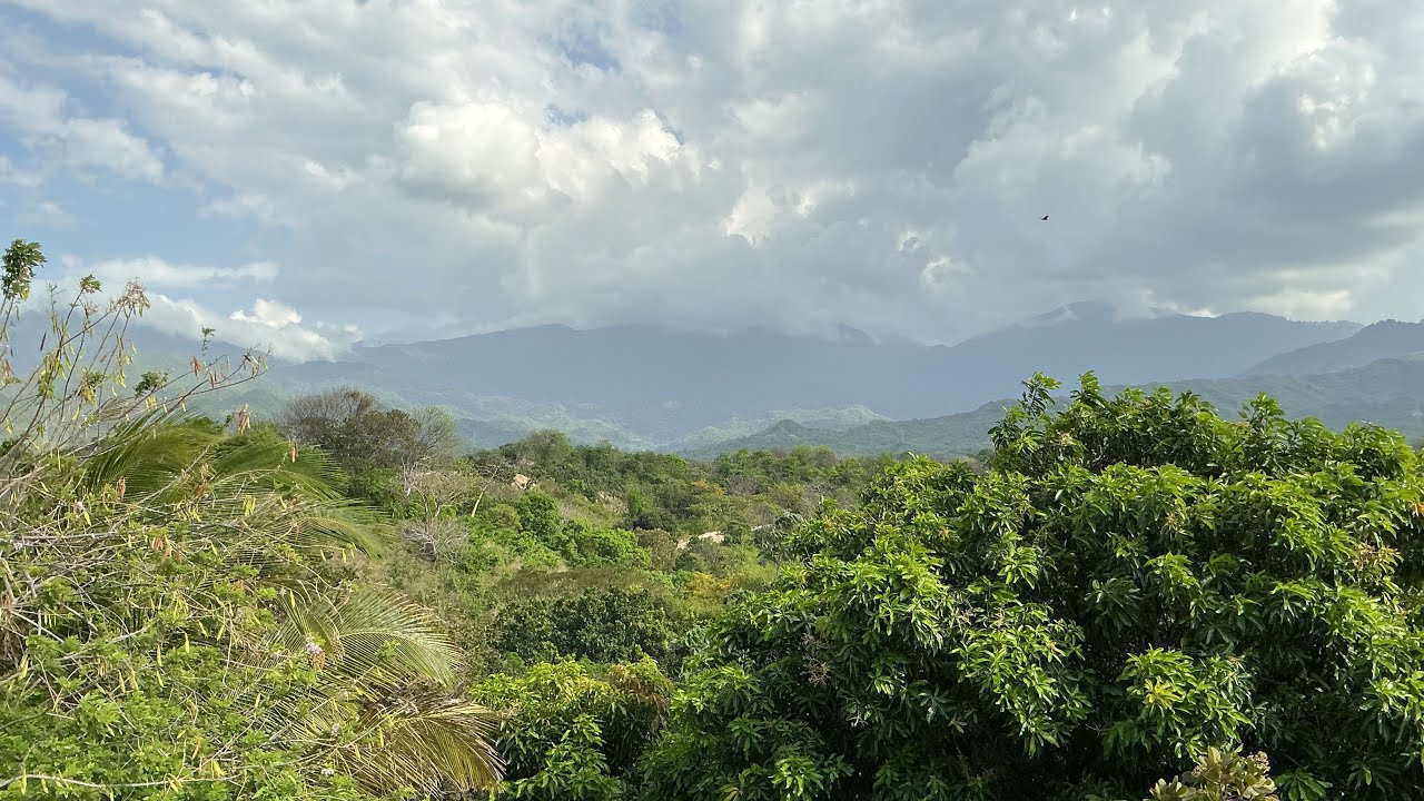 SALA CONCERTADA CHEDAMY ES ALUNA