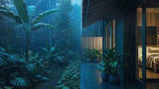 Calming Forest Rain To Sleep Fast In Rainforest Quiet Shelter 🌧️