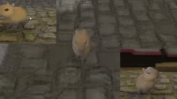 FFXIV capybara pup
