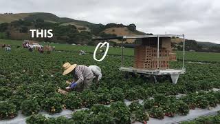 AgPro StrawBot vid for Ag Show