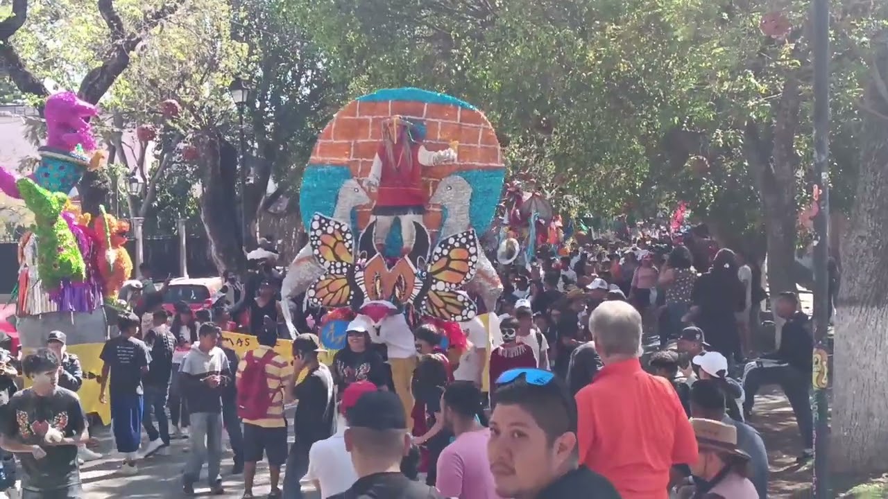 Toritos de petate Carnaval 2024 Desfile