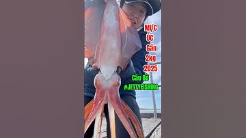 Mùa câu mực ở Úc 2025:không cần đi tàu chỉ cần câu gần bờ  #jettyfishing #jetty #squidfishing