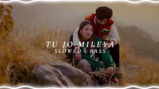 Tu Jo Mileya - Juss x MixSingh | Slowed Reverb | Bass Boosted | Lofi | Bass Bhaiya | #slowedbass