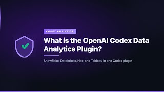 Famous What is the OpenAI Codex Data Analytics Plugin? Net Worth