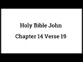 Holy Bible John 14:19