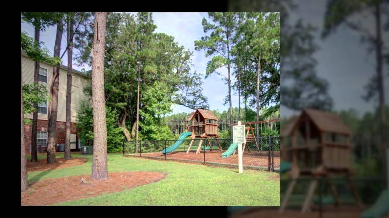 Bolton's Landing Apartments for Rent in Charleston, SC YouTube