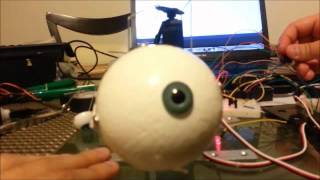 Second Progress Video, Senior Design 2, Team 9, Bionic Eye