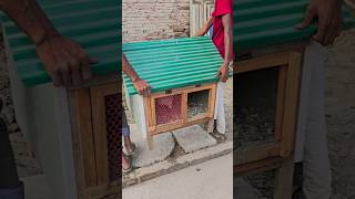 Moving Pigeon House From One Place To Another
