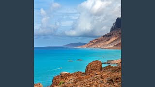 Melodic A Oceanic Serenity Harmony