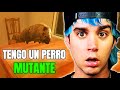 MI PERRO ESCONDE UN TERRIBLE SECRETO 🚀