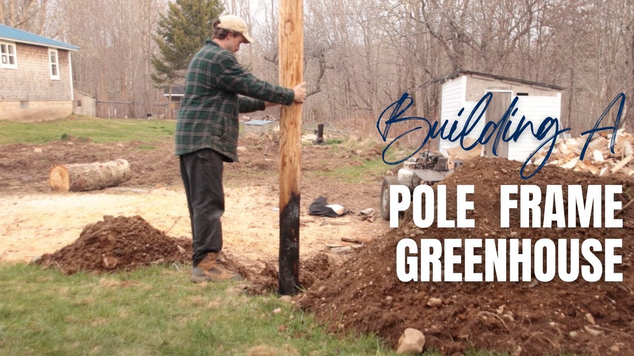 Bush Reeds Bush Pole Frame Framing Pole Barn Greenhouse DIY Greenhouse Part 2: Installing The