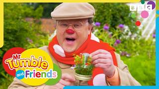 Summer Magic Moments with Mr Tumble Mr Tumble and Friends
