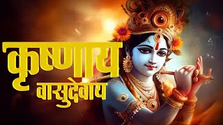 Krishna Mantra - Om Krishnaya Vasudevaya Haraye Paramatmane 108 Times | Bhakti Song | Krishna Bhajan
