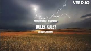 KULEY KULEY [SLOWED REVERB] YO YO HONEY SINGH  X  APACHE INDIAN