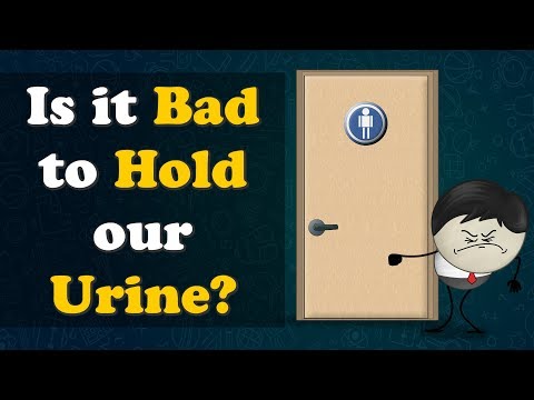 Is it Bad to Hold our Urine? + more videos | #aumsum #kids #science #education #children