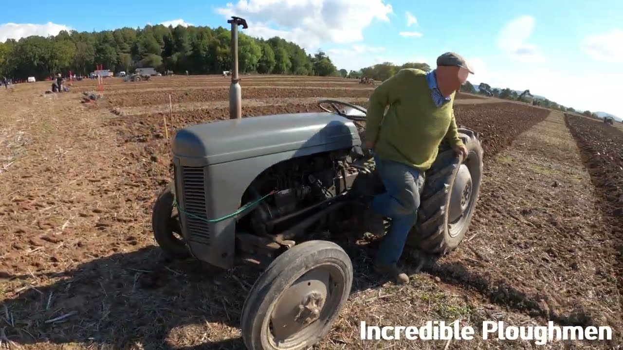 1954 Ferguson TEF20 2.1 LItre 4-Cyl Diesel Tractor (28HP) With Ferguson Weobley Ploughing Match 2025