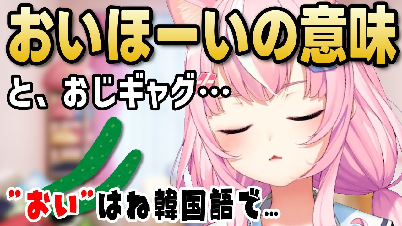 おいほーいの意味と魔王様の魔王ギャグ【ナリちゃん切り抜き/ヤンナリ
