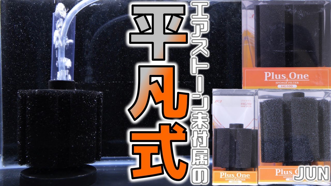 スポンジフィルター】他と変わらないありきたりなろ過器。JUNプラス