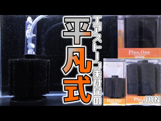 スポンジフィルター】他と変わらないありきたりなろ過器。JUNプラス