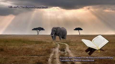 105. Al-Fil (The Elephant) سورة الفيل (Quran in Arabic and English)