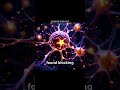 Brain Star Cells: The Syndrome Link?