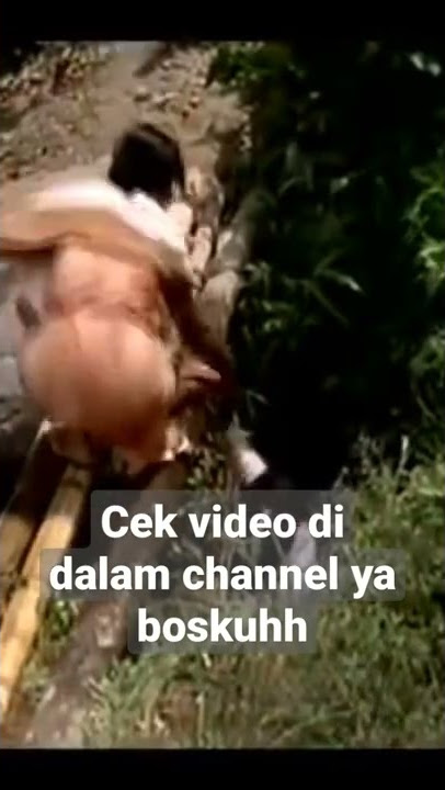 #kawinkontrak #filmjadul #film