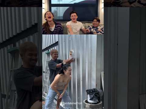 Funny Viral video reaction from Tom Holland and friends part 167 #funny #trolledit #tomholland #meme