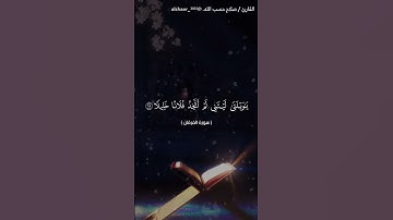 ويوم يعض الظالم على يديه... سورة الفرقان[٢٧: ٢٩] بصوت القارئ / صلاح حسب الله. @alshaer_2023