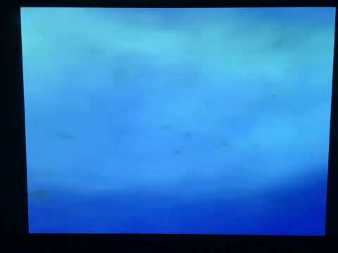Finding Nemo righteous in Portuguese