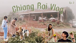 ”เชียงรายไม่รีบ“ Chiang Rai Vlog Ep.2 | ดอยช้างกลางสายหมอก